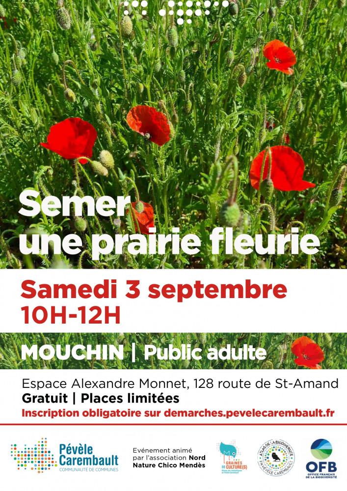 Cycle de connaissance "Semer une prairie fleurie" CC Pévèle Carembault
